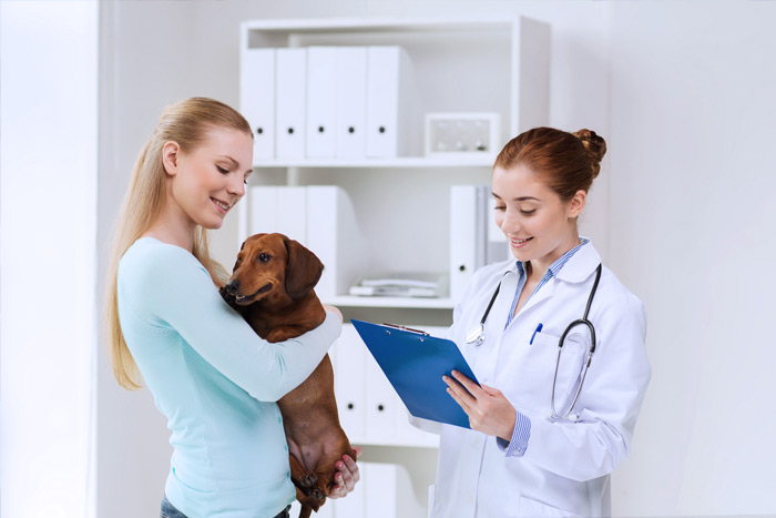 ЭЦП для оформления ветеринарных сертификатов (ГИС Меркурий) в Балашове